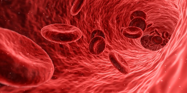 Post-op nutrition to replace loss of Red blood cells